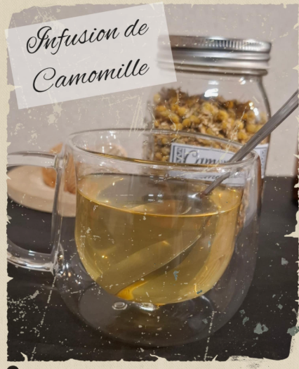 Infusion de camomille