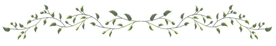 Separateur2