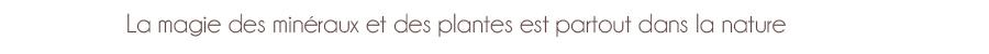 Sous titre 1